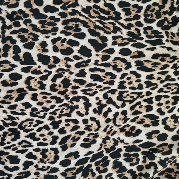 Leopard Print Dress - Picture 3 of 6